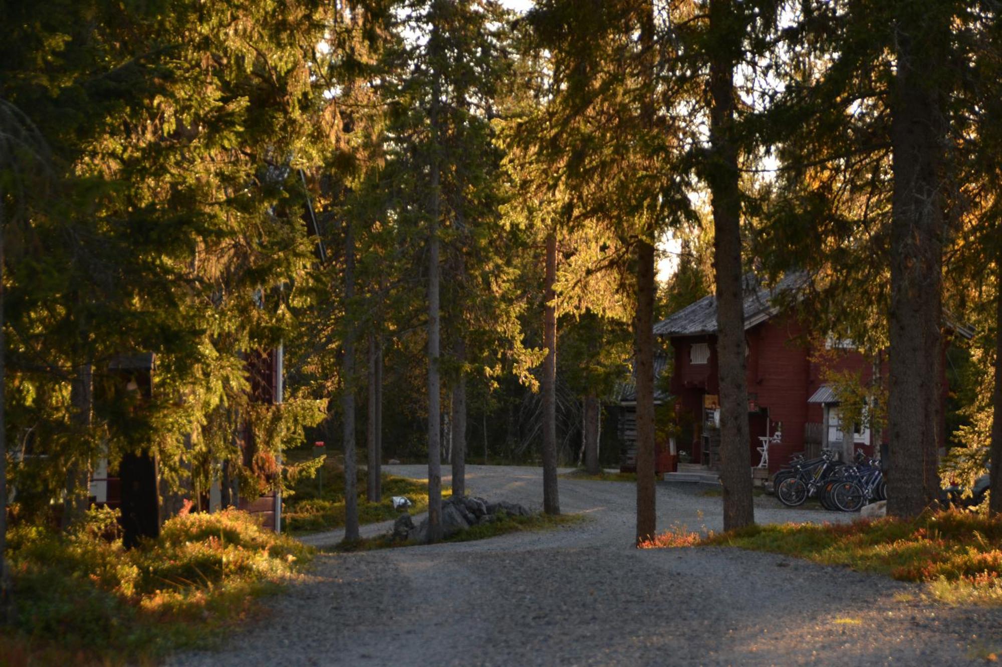 Wilderness Hotel Papin Talo Ruka Kültér fotó