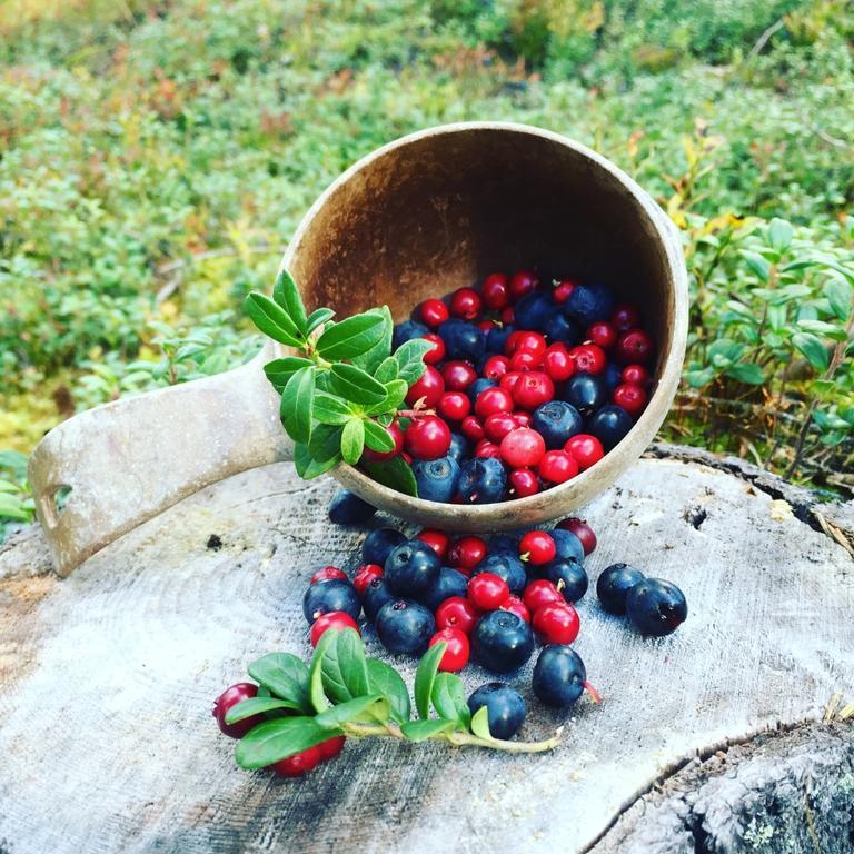 Wilderness Hotel Papin Talo Ruka Kültér fotó